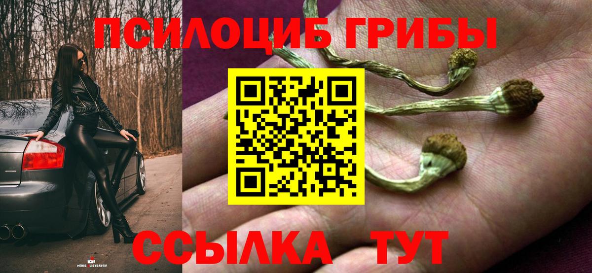 Лосино-Петровский  Галлюциногенные грибы GOLDEN TEACHER  Вход с VPN  Псилоцибиновые грибы мухоморы 